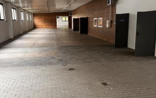 magazyn / miejsca paletowe na wynajem